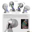 Form of the Head and Neck, Paperback