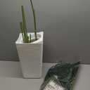 Bird of Paradise Artificial Plant, 5FT Faux Plants Indoor Banana Leaf Tree with 9 Leaves, Large Fake Tropical Potted Indoor Silk Floor Plant with White Tall Planter for House,Office,Room,Home Decor