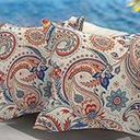 Oeko Tex Standard 100 Paisley Print 2pc Pillow