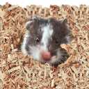 Kaytee Aspen Small Animal Pet Bedding For Pet Guinea Pigs, Rabbits, Hamsters, Gerbils, and Chinchillas, 52.4 Liters (Tan)