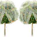 2Pack Garden Netting 10X10 Feet