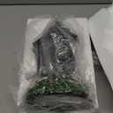 Christmas Snow Globe Lantern Cardinals Water Glittering Globe with 6H Timer Function Christmas Snow Globes 3 AA Battery Operated for Christmas Festival Decorations Gifts (Cardinals)