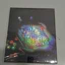 50pcs Balloon Lights Mini Led Lights Round Long Standby Time Ball Lamps Paper Lantern Balloons Lamps for Birthday Party Christmas Halloween Decoration Rainbow