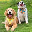 Cute Fruit Dog Bandanas 2 Pack, 4 Patterns Watermelon Lemon Orange Melon, Summer Dog Bibs for Large and XL Breed, Reversible Boy and Girl Pet ScarfLarge
