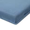 Blue Cushion