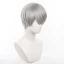 Anime Yu Narukami Wig Gray Bowl-shaped Short Straight Party Hair Halloween Cosplay Props Accessory