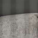 Area Rug 6x9 Living Room Rug, Machine Washable Vintage Distressed Medallion Rug Non-Slip Soft Low Pile Large Indoor Rugs for Bedroom Kitchen Dining Room Office (Beige,6'x9')