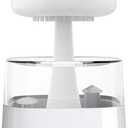 Rain Cloud Humidifier Aromatherapy Machine Atomizer Household Power Supply 5V 2A Non-Rechargeable