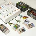 BIWASE Dinosaur Toys for Kids 3-5 5-7, 50 pcs Realistic Dinosaurs with Book & Dinosaurs Learning Cards - Educational Small Dinosaur Figures for Party Favors Gifts, Boys and Girl 8-12 Year Old
