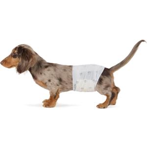 Amazon Basics Absorbent, Leakproof Male Dog Wrap Disposable Diapers with Wetness Indicator, Breathable, Small, White, 50-Pack