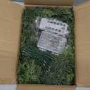 Cedar Christmas Garland with Lights for Mantle - Decorations 6 ft Realistic Lighted Faux Pine Garlands for Xmas Home Decoration Indoor Stairs Railing Fireplace Outdoor 6ft Prelit Garland Door Decor