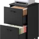 VASAGLE 2-Drawer File Cabinet, Small Rolling Filing Cabinet