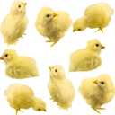 Fahacop 8 Pack Easter Simulated Chicks Realistic Plush Chicks Fluffy Yellow Chick Toys for Easter Party Decoration Basket Fillers Photography Props, 4 Styles