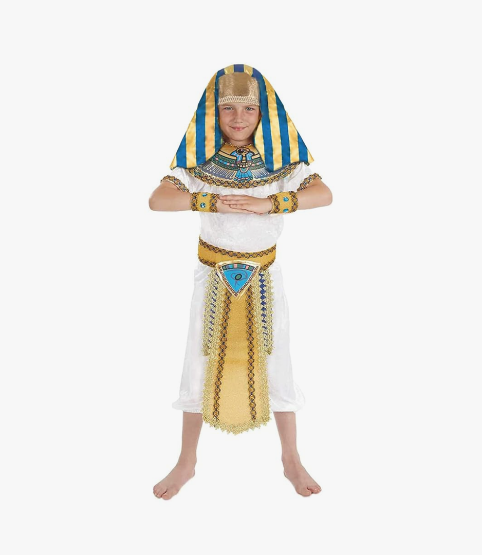 fun shack King Tut Costume Kids, Egyptian Costumes for Boys, Pharaoh Costume Kids, Boys Halloween Costumes, Large