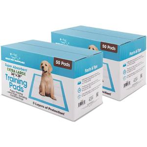 Best Pet Supplies XL Puppy Pads 100 Count - Super Absorbent Dog Training Pads, Quick-Dry, Odor Control, Disposable Pee Pads, Leak-Proof Wee Wee Pads for Indoor Dogs  Baby Blue XL, 100 Pack