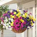 HyeFlora Artificial Hanging Flowers Faux Plants Basket for Outdoors Spring Decor, Fake Silk Morning Glory with Eucalyptus in Planter UV Resistant Outdoor Flowers for Outside Porch Patio Garden Home