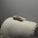 Bedsure Gentlesoft 2-in-1 Queen Comforter Set and Detachable Fluffy Blanket, Beige Bedding Set for All Season Use, SnapTech Design for Space Saving (Includes 2 Pillow Shams, 2 Pillowcases)