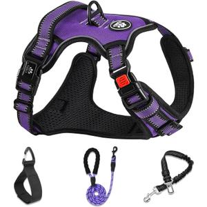 NESTROAD No Pull Dog Harness,Adjustable Oxford Dog Vest Harness with Leash,Reflective No-Choke Pet Harness with Easy Control Soft Handle for Small Medium Dogs(Medium, Purple) (M neck 13-17" chest 17-25")