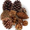 Highly Scented Cinnamon Pinecones - Varied Sizes Perfect for Vase Fill, DIY Crafts and Projects - Traditional and Rustic Kitchen Dcor or Fall, Thanksgiving and Holiday Decorations