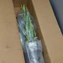 Artificial Snake Plant  28in Faux Sansevieria Plants, Fake Floor Plant for Indoor Outdoor, Front Porch Patio Home Office Decor, Mother-in-Laws Tongue, Yellow 1Pcs