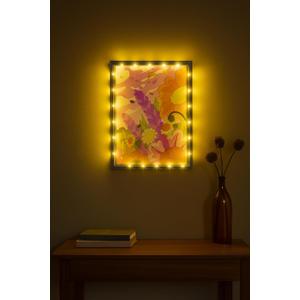 Shadow Box with LED Light Dried Flowers Collectible Shadow Frame Changeable Artwork Display & Storage Frame Wall-mounted & Tabletop (Blue)