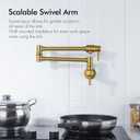 Wall Mount Spout Cold Water Only Double Lever Handle Brushed Brass Kitchen Sink Faucet Stove, Pot Filler Faucet with Dual Joint Swing Armk Sink Faucet, Brushed Old Gold-PVD