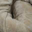 Full Size Heated Electric Blanket Heating Blanket - 72X84in Full Size Electric Blanket for Bed, Fast Heating and Over-Heat Protection Heated Blanket 5 Heat Levels, House Warming Gifts New Home (Beige)