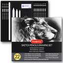 PANDAFLY Drawing Sketching Pencil Set, 22 Piece Pro Art Pencil Kit - Graphite Pencils (12B-2H), Black and White Charcoal Pencils, Charcoal Sticks, Stumps, Eraser, Sharpeners