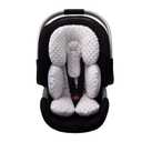 Pro Goleem Infant Car Seat Head Neck Body Support, Ultra-Soft Minky and Microfiber Newborn Car Seat Insert, Perfect for Car Seat, Stroller, 2-in-1 Reversible, for Boys and Girls, Gray (Grey)
