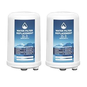 FC1 F8 HG-N Water Filter Replacement Cartridge Compatible with Enagic Leveluk K8, SD501 (2011+), JRIV 8-Plate Ionizer Machines Alkaline Water System, 2 Pack