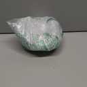 Egg Planter, Flower Pot Vase, House Plant Bowl, Succulent, Cacti, Snake Plant, Chicken Dinosaur Storage Bin, Bird Sculpture, Home Garden Office Decoration, Gift (Laying Egg)