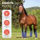 Mesh Fly Boots Horse Fly Boots Mesh Fly Wraps Leg Guard for Horse Set of 4 (DarkBlue)