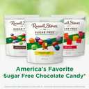 Russell Stover Sugar Free Chocolate Candy Coated Peanut Gems, 7.5 Ounce Bag