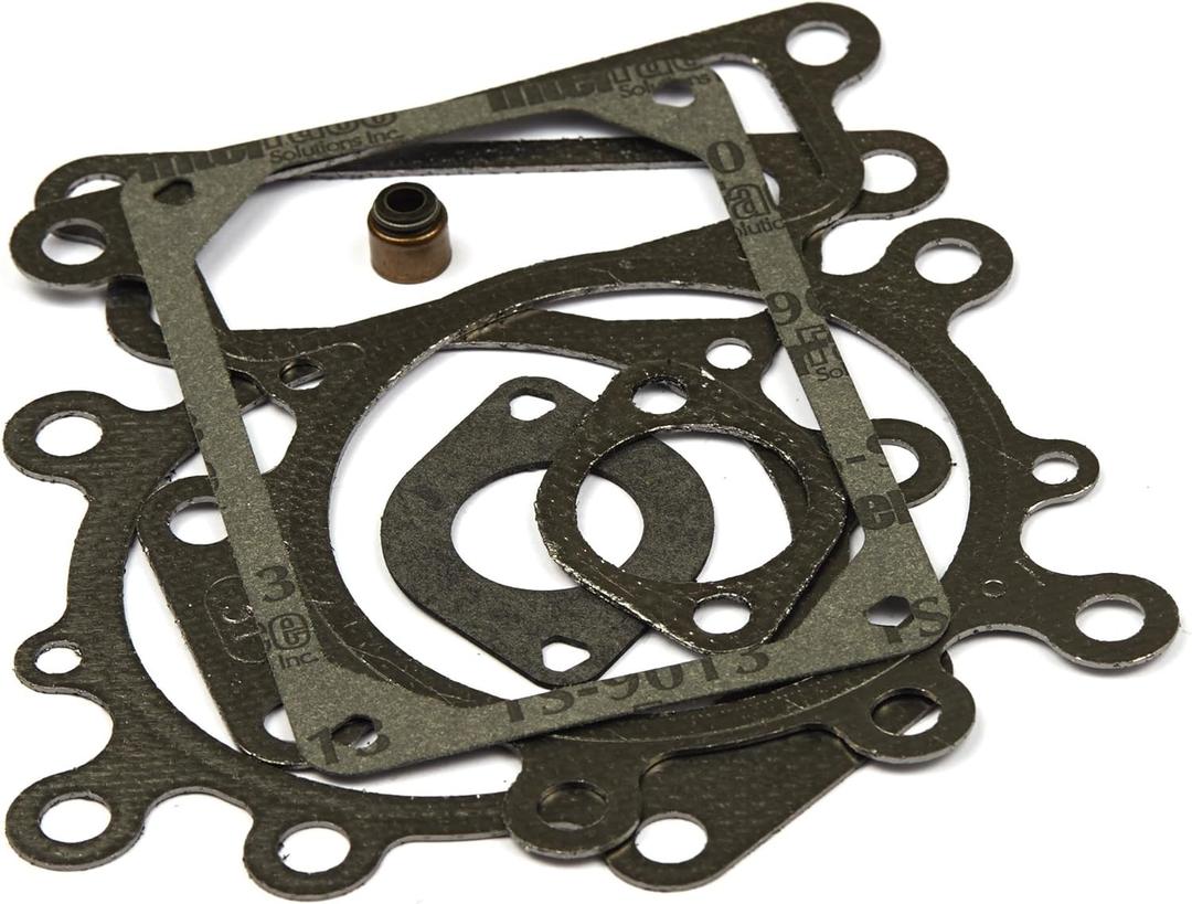 Briggs & Stratton 794152 Valve Gasket Set Replaces 690190 , Black