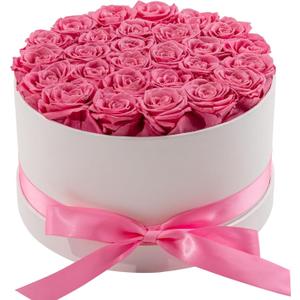 27 Piece Preserved Roses in a Box - Forever Flowers for Delivery Prime, Eternal Roses Mothers Gifts for Mom, Valentine's Day, Wife Anniversary Birthday Gifts for Women(Pink)