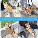 Dog Lift Harness, Dog Lift Sling Carrier with Handle & Shoulder Sling, Support Harness for Rear Back Legs Helps,Disabled,Arthritis,Joint Injuries,Paralysis Up StairsBlue,Large