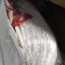 ATDAWN Light Up Snowman, Christmas Yard Decoration, 60 LEDs Lighted Snowman Christmas Decoration, Indoor Outdoor Lighted Snowman for Christmas Holiday Lighted Yard Display