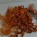 Giginger Ginger Orange 350 Deep Braiding Human Hair 2 Bundles Per 50g 18 Inch Braiding Hair No Weft Brazilian Virgin Deep Curly Human Hair Braiding for Boho Braids