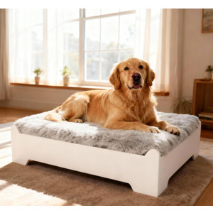 CLOUDBERG Medium Elevated Wooden Dog Bed Frame with Cushion, Raised Dog Couch Sofa 32½”x 24½” Up to 50lbs