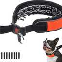 Martingale Collar for Dogs, Reflective No Pull Dog Collar for Medium Large Dogs, Adjustable Anti Pull Dog Collar for Walking Training, Heavy Duty Nylon Slip Collar with Buckle 2 Inch Wide, M, Orange