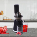 14 Cup Food Processor, French-Fry-Cutter, Blending, Mixing, Shredding, and Slicing, Meat and Vegetable Chopping, Doughing for Home Use, Mincing, and Pureeing,4 Speeds, Large Feed Chute,600W