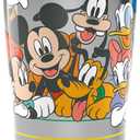 Tervis Traveler Disney Mickey Group Triple Walled Insulated Tumbler Travel Cup Keeps Drinks Cold & Hot, 20oz, Stainless Steel