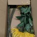 Hollyone 3Pcs Yellow Artificial Flowers Mums Spider Mum Flower 28.3'' Long Stem Fake Chrysanthemum Flowers Leucospermum Cordifolium Arrangement Faux Pincushion Flowers Bouquet for Office Home Decor