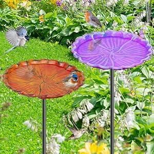 MeyRolizn 2PCS Hummingbird Bird Bath for Outside, Freestanding Metal Flower BirdBaths Bowl with Stake, Detachable Birdfeeder for Outdoor Yard Lawn Garden Decor (2PCS-Purple-Orange)
