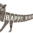 Cat Happy Birthday Banner, Unique Cat Body Birthday Bunting Banner Flag Garland for Party Carnival Party Decorations Supplies