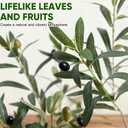 Timoo Faux Olive Tree Olive Trees Artificial Indoor with White Planter (5 FT)