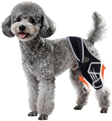 Yinchogee Dog Knee Brace for Torn ACL Hind Leg, Four-Leg Universal Rear Leg Braces for Dogs with Arthritis, ACL Injuries, Adjustable Breathable Reflective Support for Senior Dogs, S