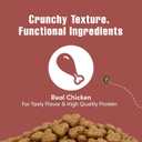 Get Naked Urinary Cat Health Treats with Cranberry & Real Chicken 6oz | Crunchy, Grain-Free, Natural Urinary Tract & Dental Care | Supports UT Support & Fresh Breath | Made in The USA (EXP 07/20/27)