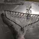 Cavex Workforce 14-Tine Bow Rake - 54" Fiberglass Handle - 16 Gauge Steel Blade
