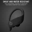 Beats Powerbeats Pro Wireless Earbuds - Apple H1 Headphone Chip, Class 1 Bluetooth Headphones, 9 Hours of Listening Time, Sweat Resistant, Built-in Microphone - Black